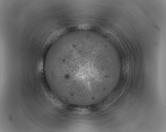 X0000115260502200911131749