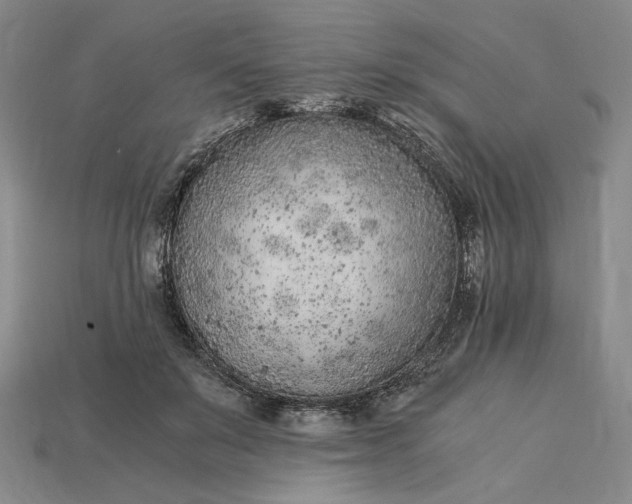 X0000115260503200911131749