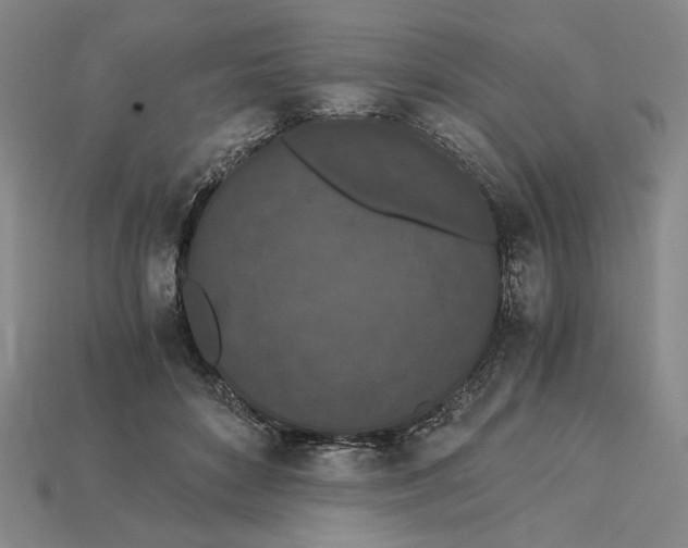 X0000115260504200911131749