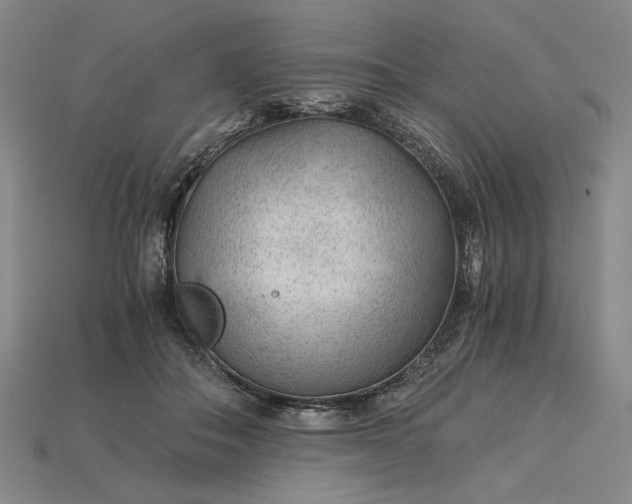 X0000115260506200911131749
