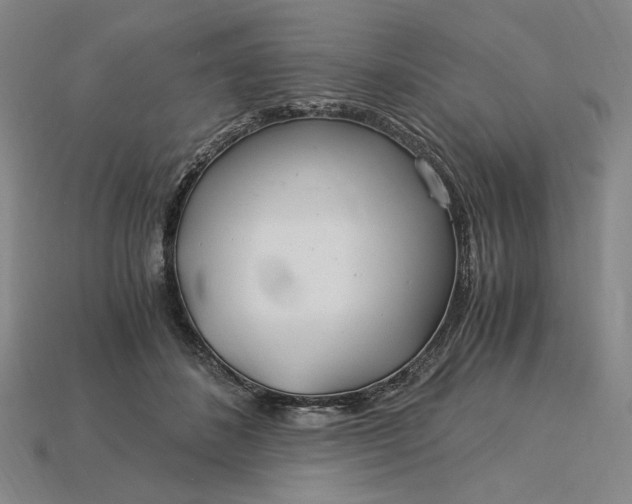 X0000115260508200911131749