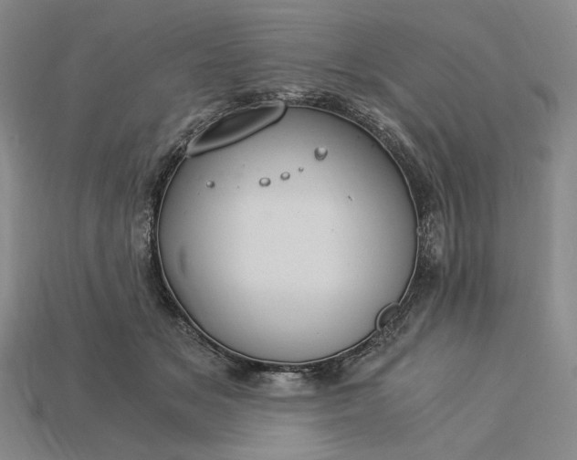 X0000115260509200911131749