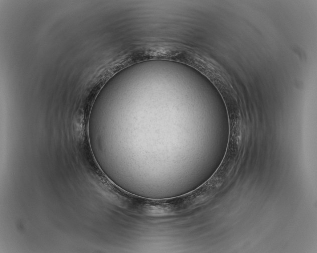 X0000115260510200911131749