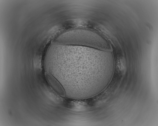 X0000115260512200911131749