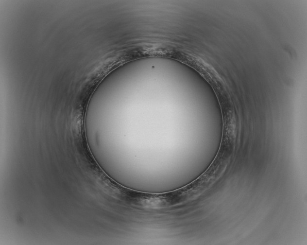 X0000115260513200911131749