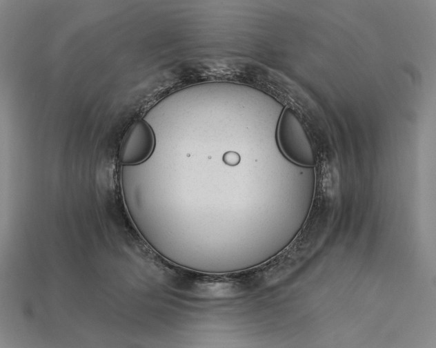 X0000115260514200911131749