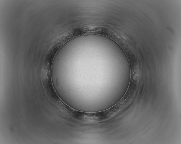 X0000115260515200911131749