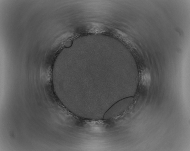 X0000115260517200911131749