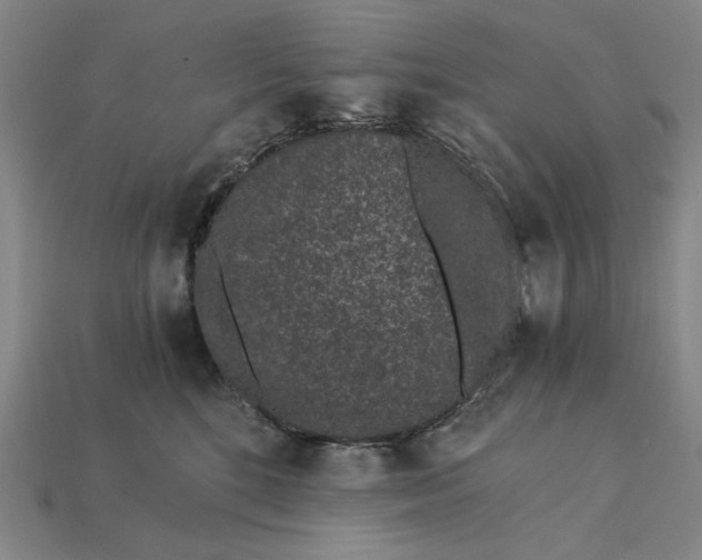X0000115260520200911131749