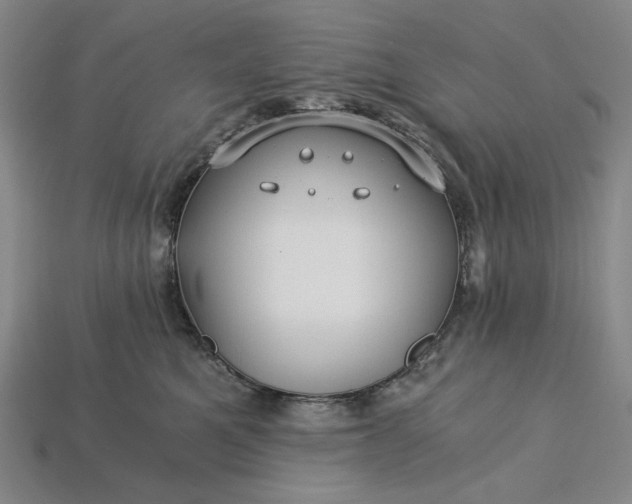 X0000115260521200911131749