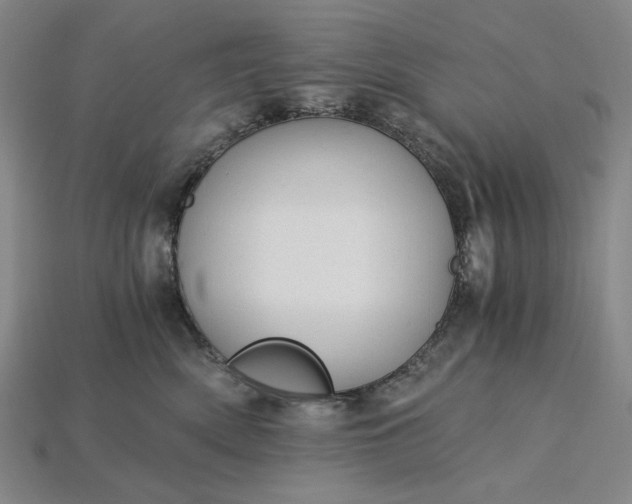 X0000115260522200911131749