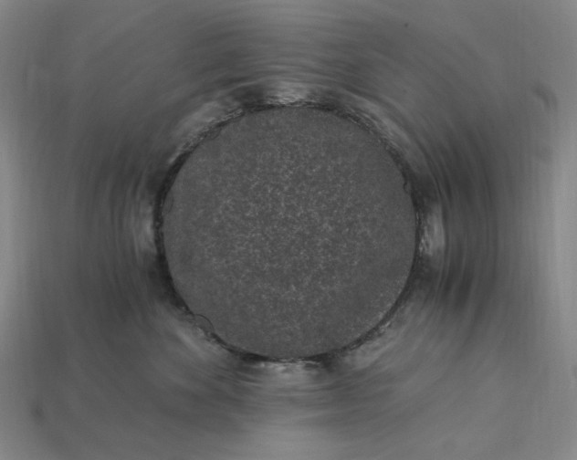 X0000115260524200911131749