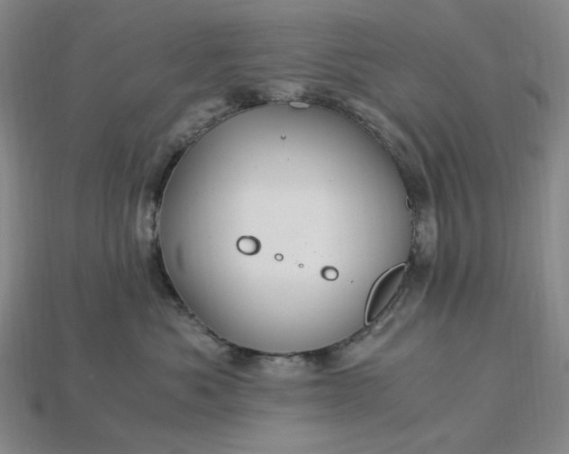 X0000115260525200911131749