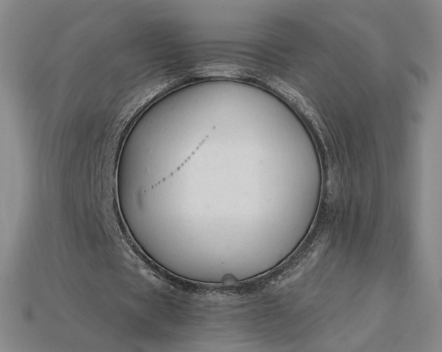 X0000115260529200911131748