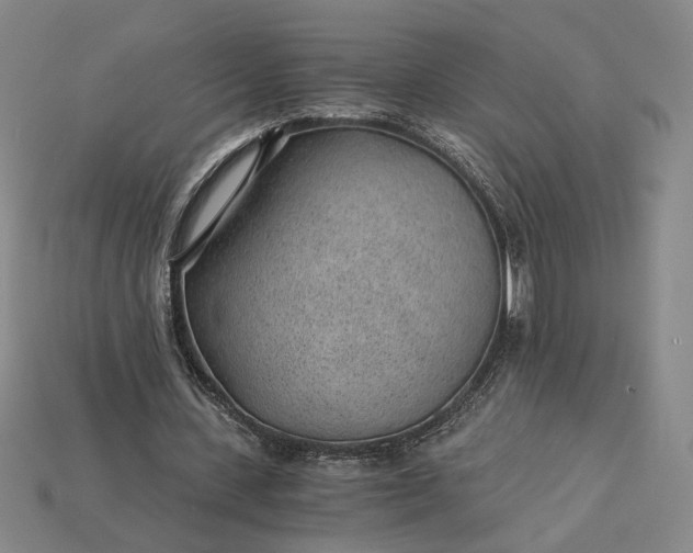 X0000115260531200911131748