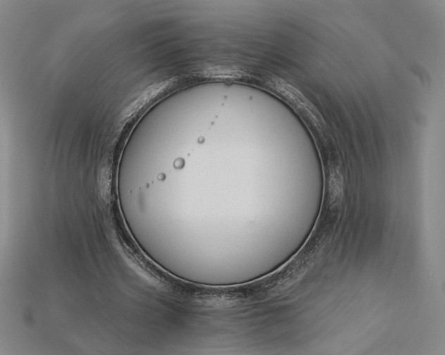 X0000115260533200911131748