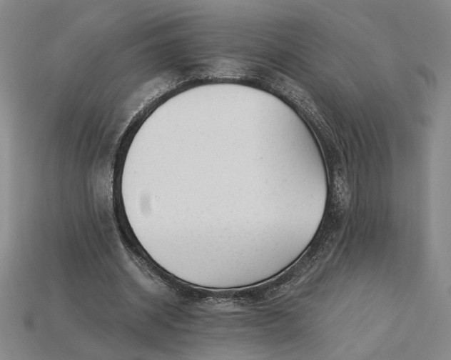 X0000115260534200911131748