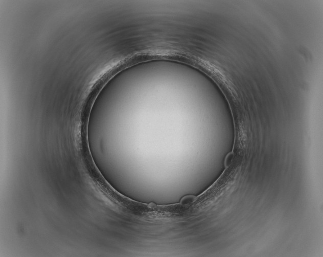 X0000115260535200911131748