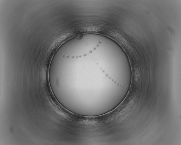 X0000115260537200911131748