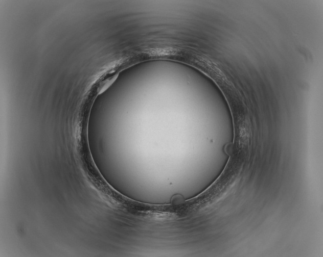 X0000115260539200911131748