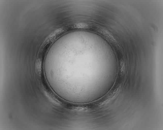 X0000115260542200911131748