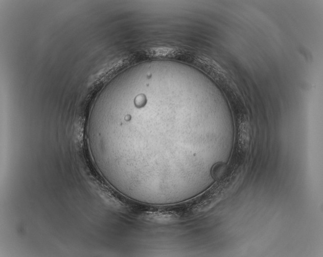 X0000115260545200911131748