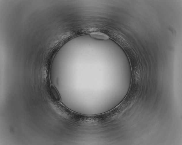 X0000115260546200911131748