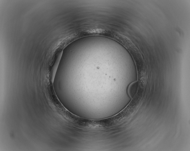 X0000115260547200911131748
