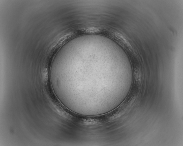 X0000115260549200911131748