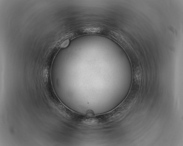X0000115260551200911131748