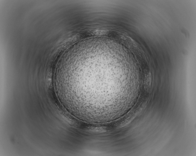 X0000115260553200911131748