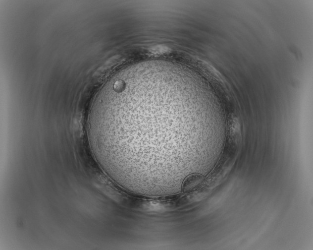 X0000115260565200911131749