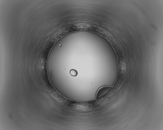 X0000115260567200911131749