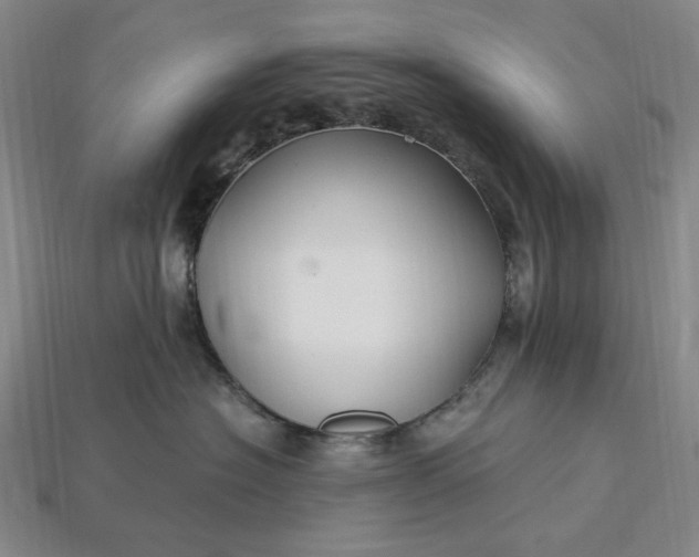 X0000115260574200911131749