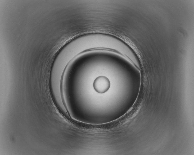 X0000115260577200911131748