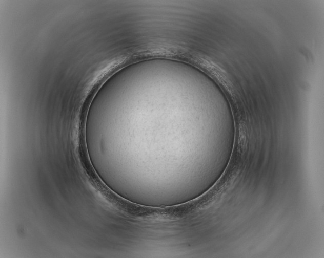 X0000115260578200911131748