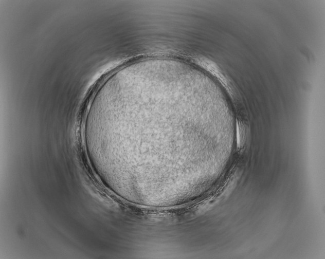 X0000115260579200911131748