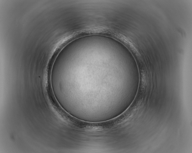 X0000115260582200911131748
