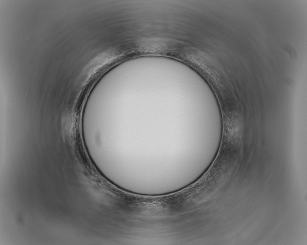 X0000115260583200911131748