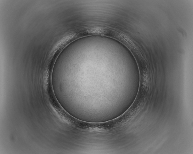 X0000115260586200911131748