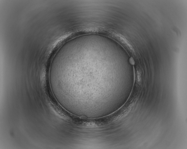 X0000115260588200911131748