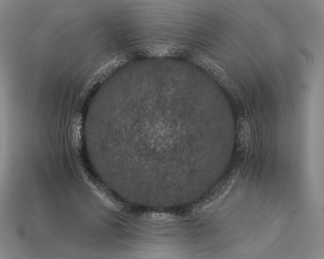 X0000115260590200911131748