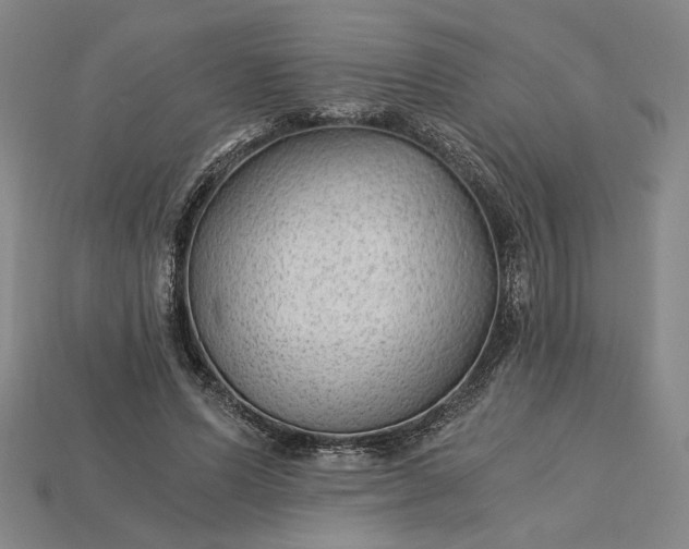 X0000115260591200911131748