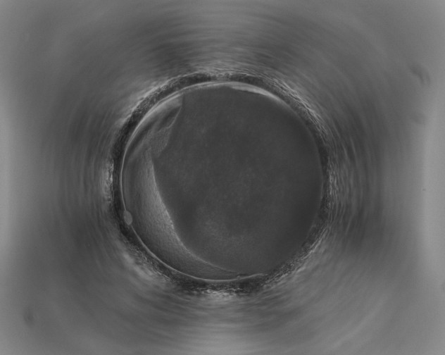 X0000115260592200911131748