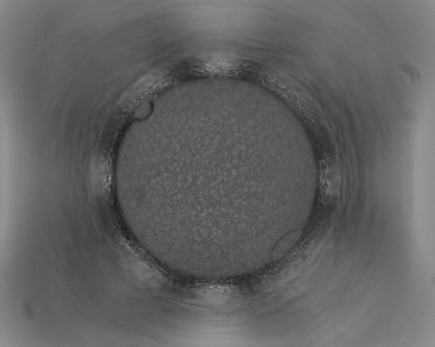 X0000115260593200911131748