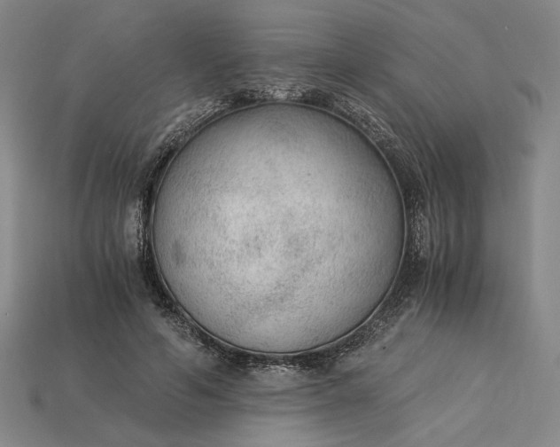 X0000115260594200911131748