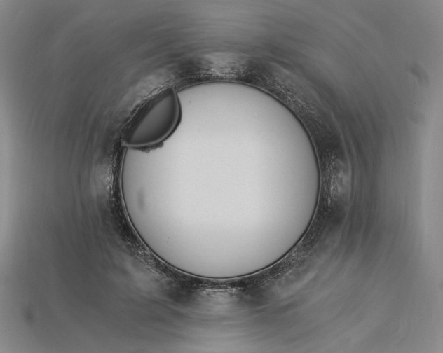X0000115260595200911131748