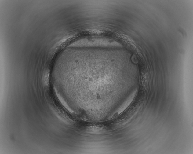 X0000115260596200911131748