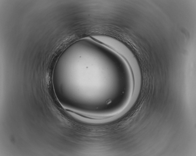 X0000115260597200911131748