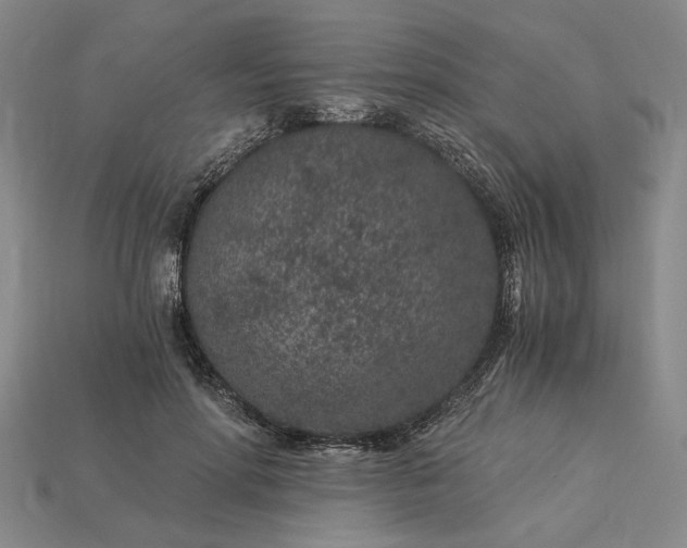X0000115260598200911131748